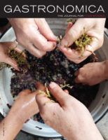 cover image for Gastronomica issue 26.1